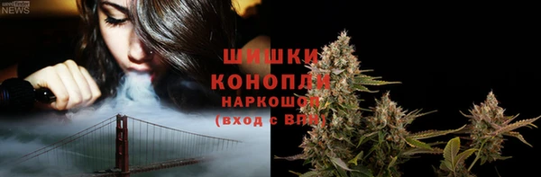 стафф Медногорск