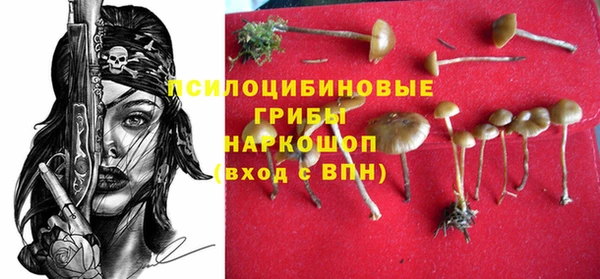 твердый Михайловка