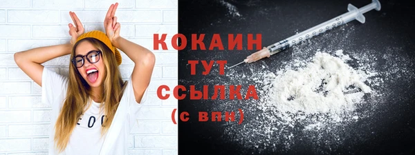твердый Михайловка