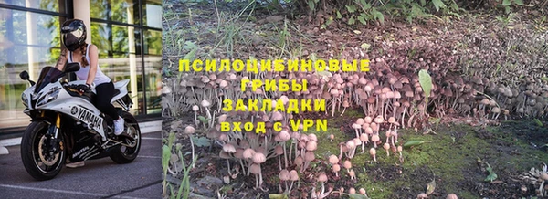 твердый Михайловка